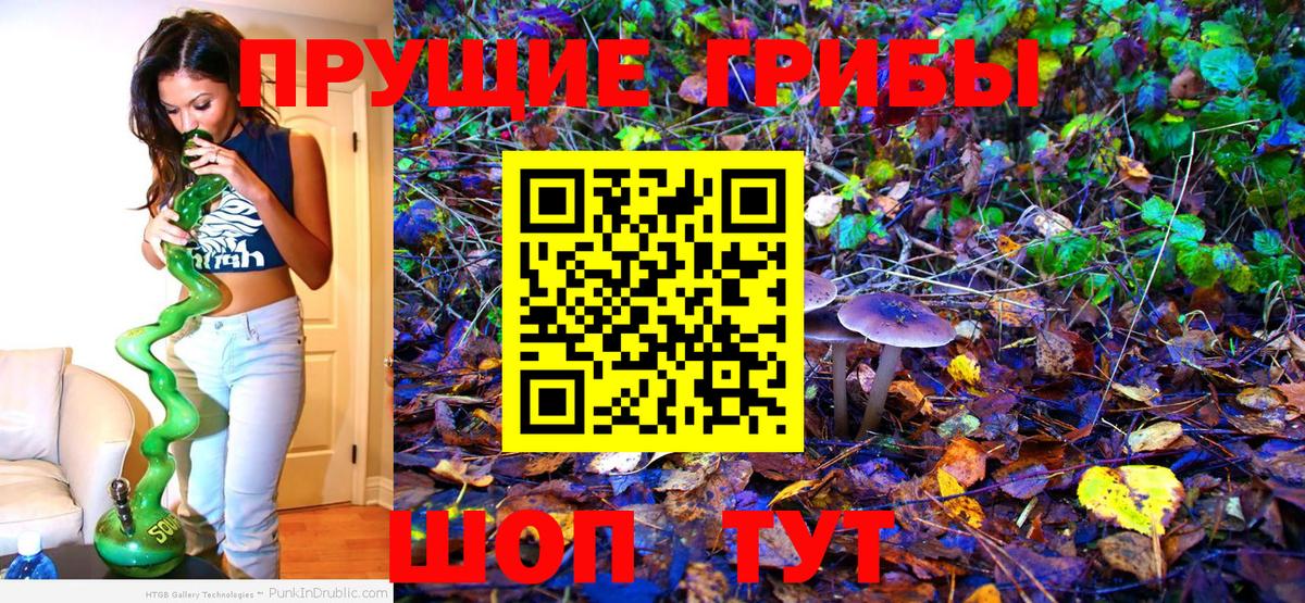 Псилоцибиновые грибы мицелий Советский